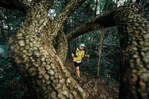 BIB: 
                            <button type="button" onclick="openModal(25393714)" class="btn btn-primary btn-sm float-right btn-popup" data-toggle="modal" data-target=".modal-high-quality">
                        <i class="fas fa-shopping-cart"></i> Add to Cart
                    </button>
                                            <button type="button" onclick="isThisMe(25393714, true)" class="btn btn-success btn-sm float-right btn-popup btn-isme hidden" data-toggle="tooltip" data-placement="bottom" title="นี่คือรูปของคุณใช่ไหม คลิกที่นี่เพื่อเอาเข้าอัลบั้ม">
                        <i class="fas fa-plus"></i> Add to album
                    </button>
                    <button type="button" onclick="isThisMe(25393714, false)" class="btn btn-warning btn-sm float-right btn-popup btn-isnotme hidden">
                        <i class="fas fa-ban"></i> Remove from album
                    </button>